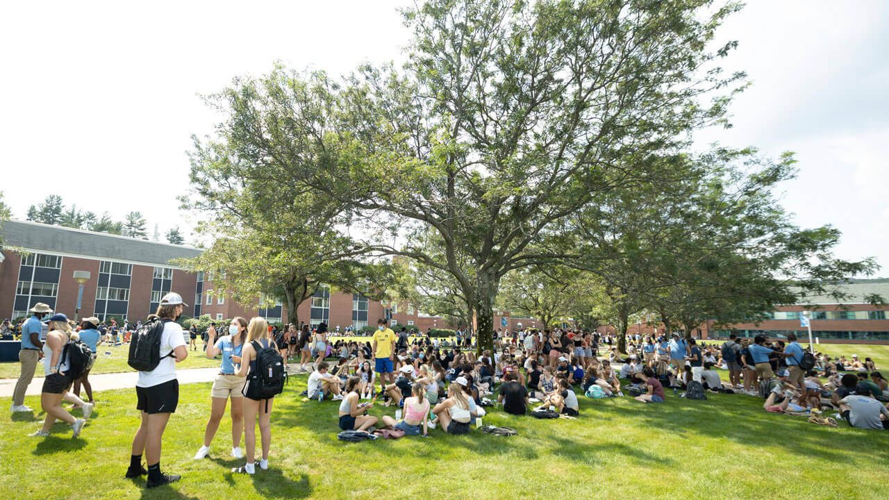 Hundreds of new students eat at a welcome barbecue on the quad
