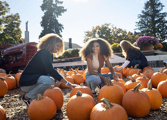Student pick their own pumpkins at a pumpkin patch