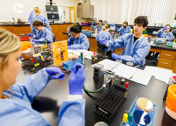 High school students participate in a biochemistry summer camp at Quinnipiac University