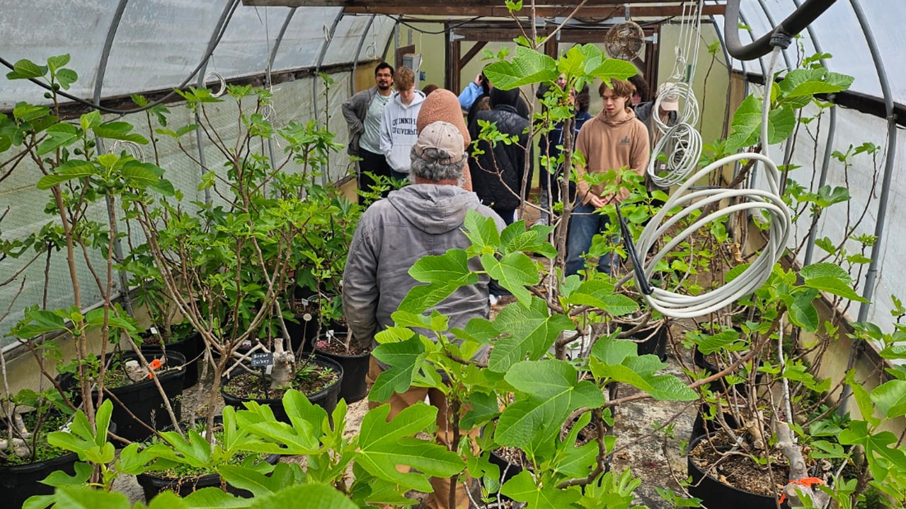 A male faculty member in a baseball cap talking to a group of students in a greenhouse.