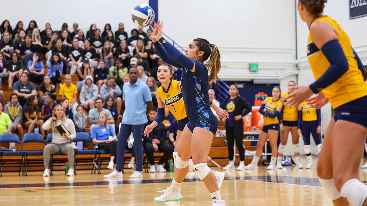 The women's volleyball team competes at Quinnipiac.