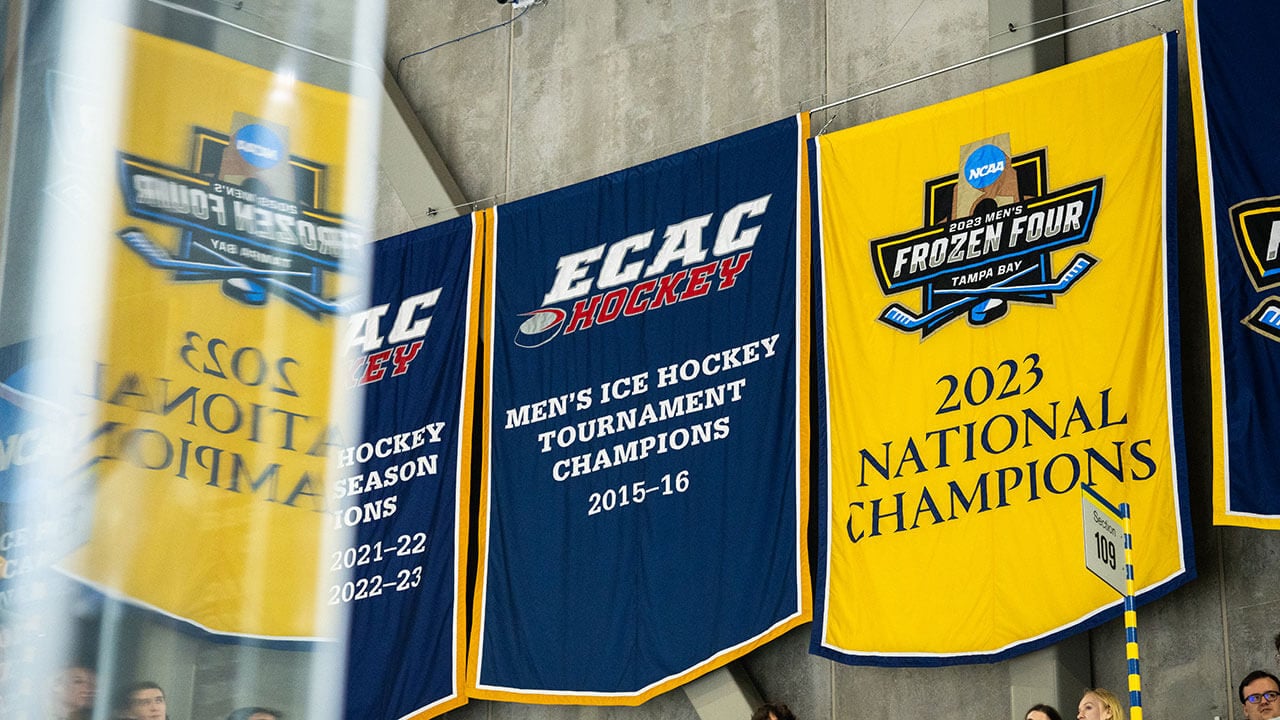 The new hockey championship banner hanging in the M&T Bank Arena