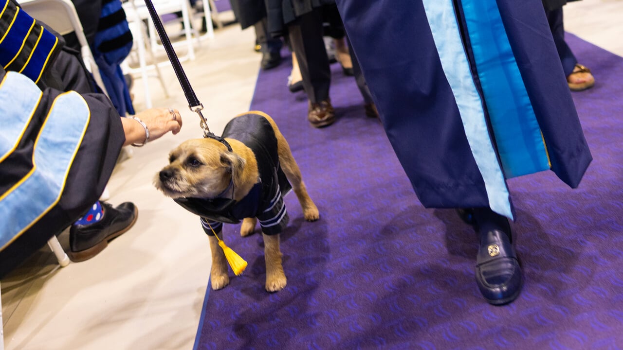 A guest reaches to pet Marie Hardin's dog, Tator, as he walks down the aisle