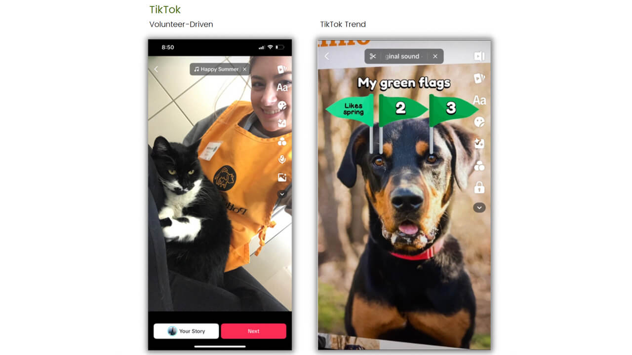 Sample TikTok posts