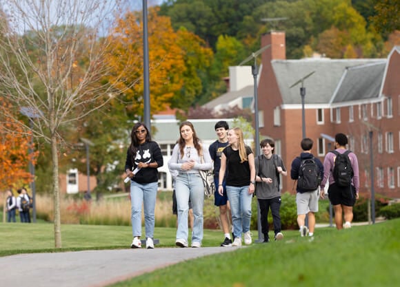 A group of Quinnipiac students walks down a path on a sunny fall day