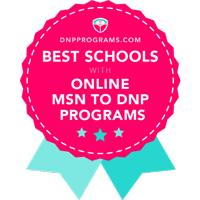 Best D.N.P. programs online M.S.N. to D.N.P.