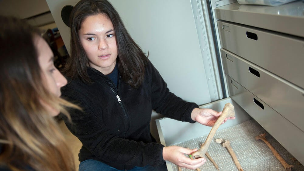 Two students examine human bones as part of a research trip