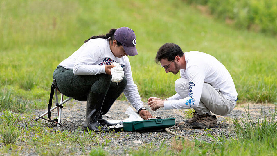 Biology students Sabrina Escobar and Joseph Battaglia study swallows during a fieldwork session outdoors in Connecticut