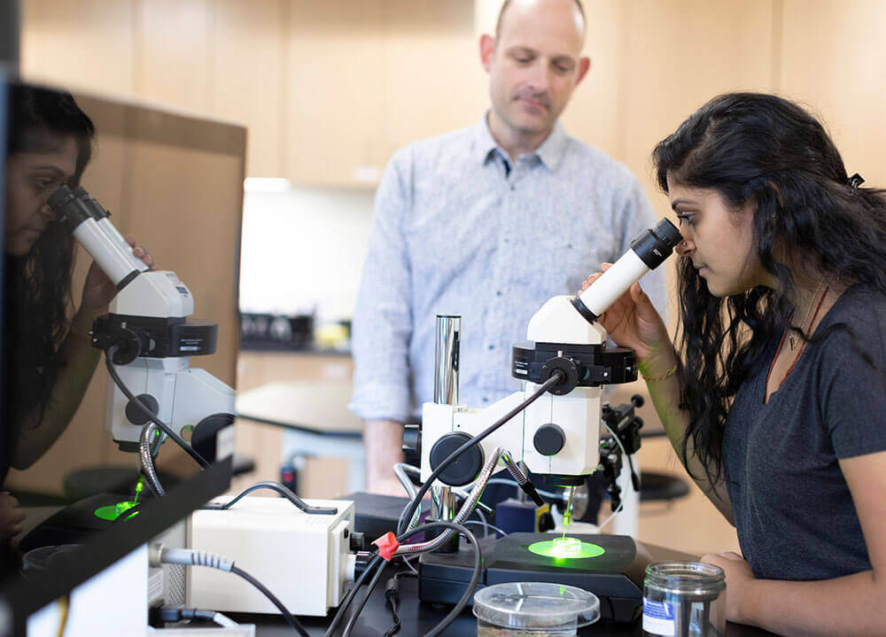 Guided by her professor, a biology student examines a specimen through a microscope in a lab classroom