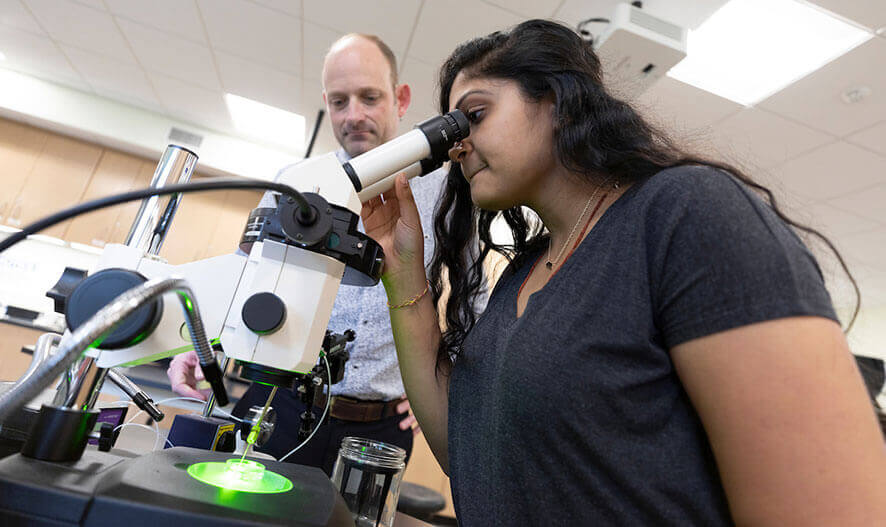 Biology student Yesha Patel examines microscope slides in the Buckman Center biology lab