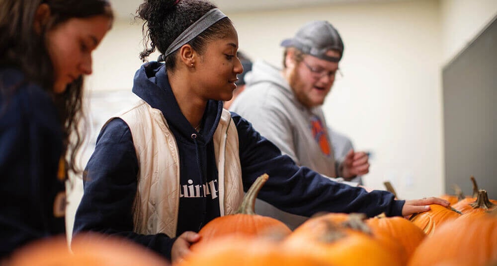 Engineering students pick their pumpkin from a collection