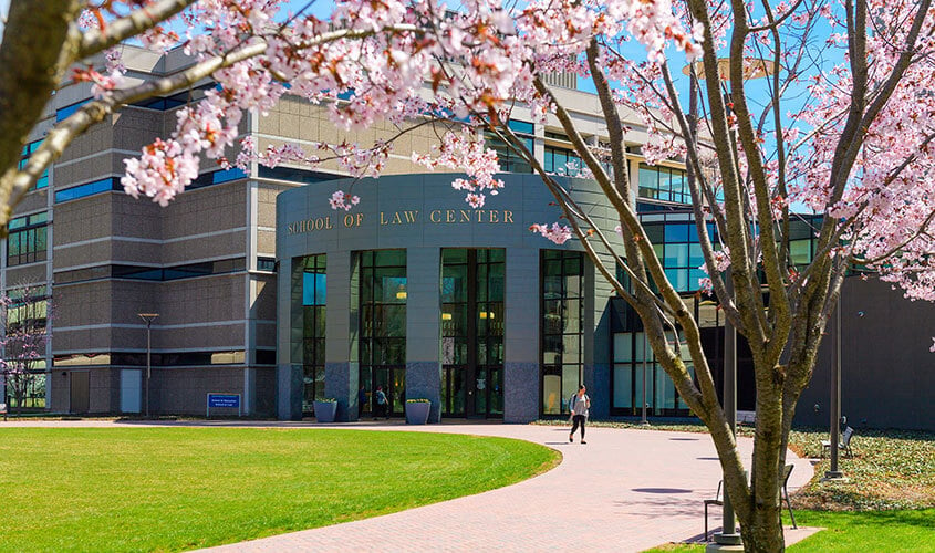 An exterior shot of the School of Law Center building on a spring day with a pink blossom tree in the foreground