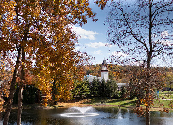 Pond and clocktower seen through foliage on Mt. Carmel campus.