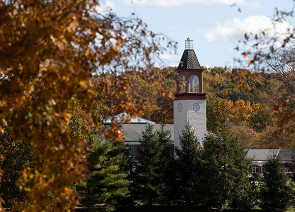 Clocktower through foliage on Mt. Carmel campus.