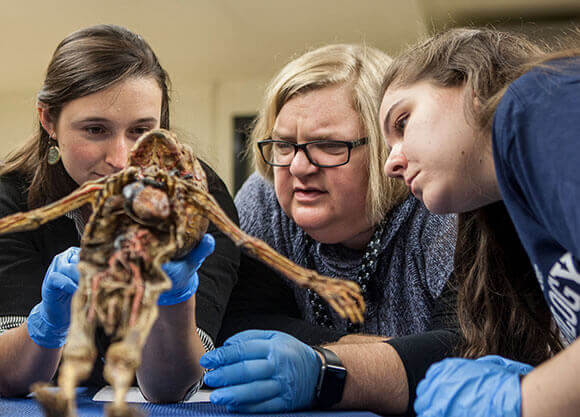 Ullinger motions to a mummy as two female students look on