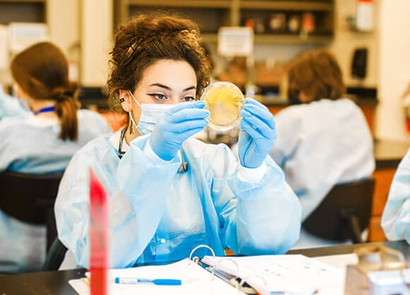 woman examining cultures in a science lab